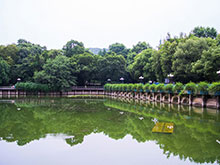 武漢大學深圳研究院環境
