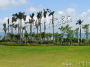 武漢大學周邊旅游環境