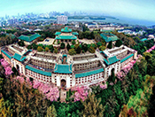 武漢大學全景
