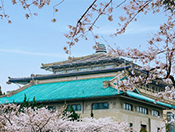 武漢大學特色建筑