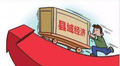 武漢大學促進縣域經濟發展專題培訓班
