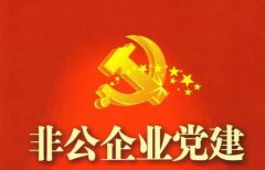 武漢大學(xué)2020年非公企業(yè)黨建專題培訓(xùn)班_課程_方案_計劃