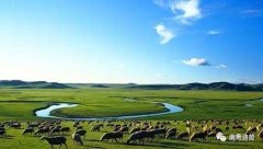 武漢大學(xué)2020年農(nóng)牧業(yè)互聯(lián)網(wǎng)+專題培訓(xùn)班_課程_方案_計劃