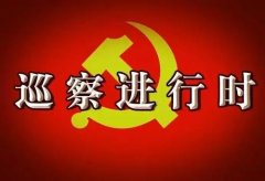 武漢大學2020年巡察干部專題培訓班_課程_方案_計劃